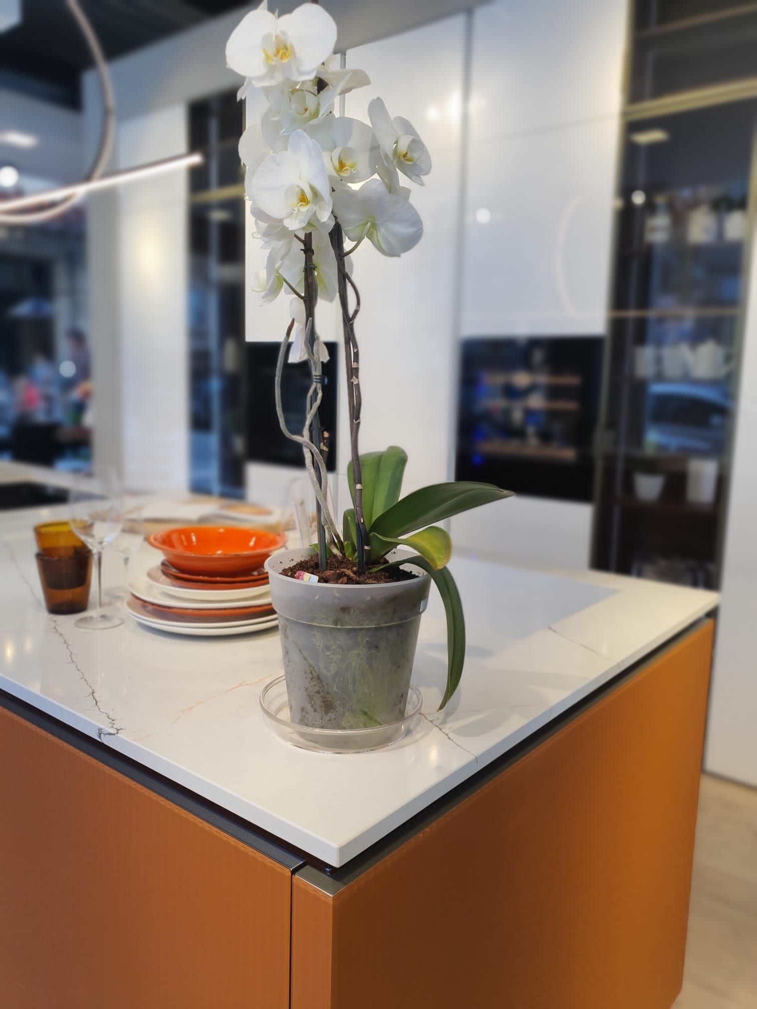 Lounge - Veneta Cucine - Image