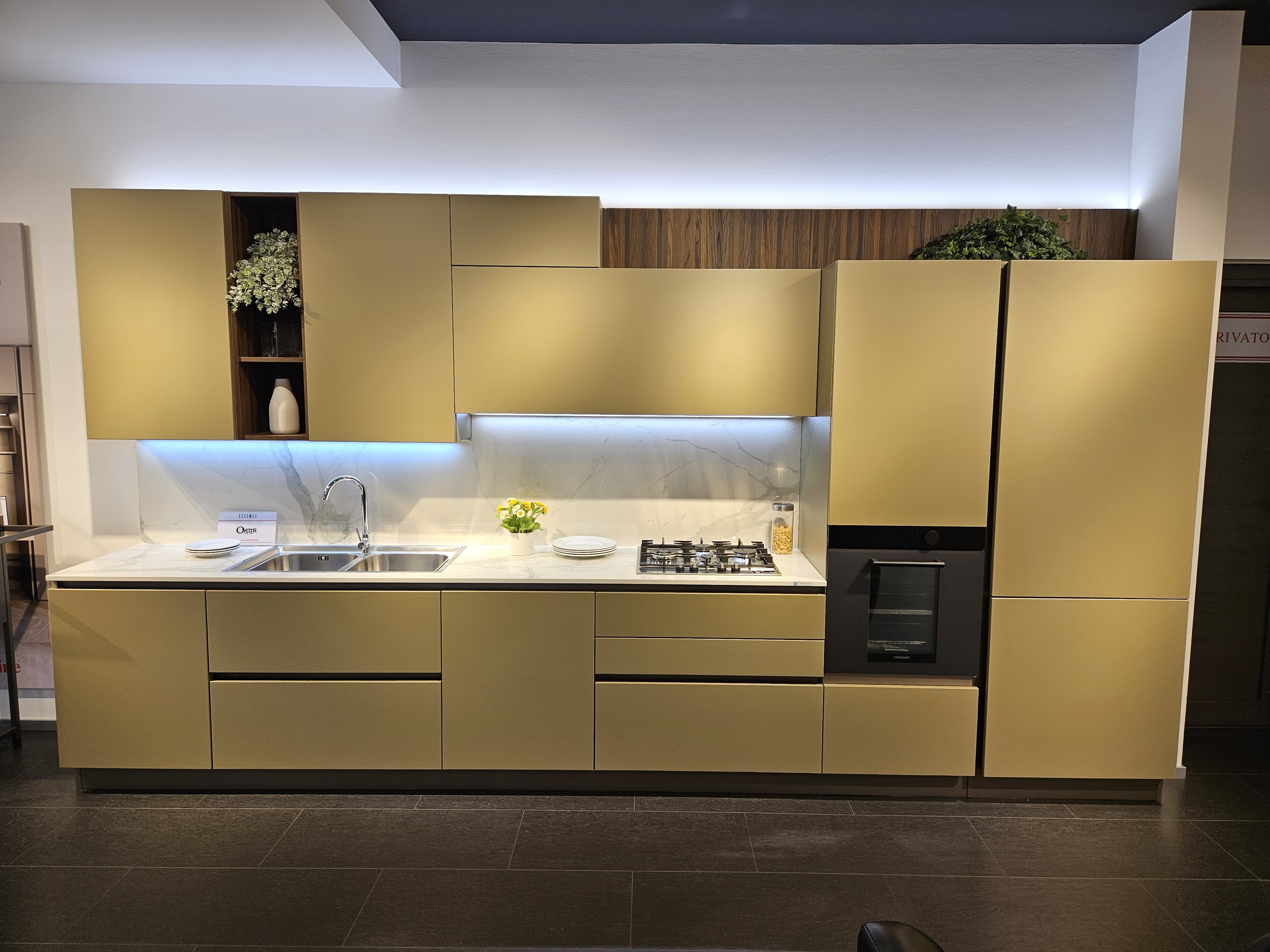 OYSTER OPACA - Image