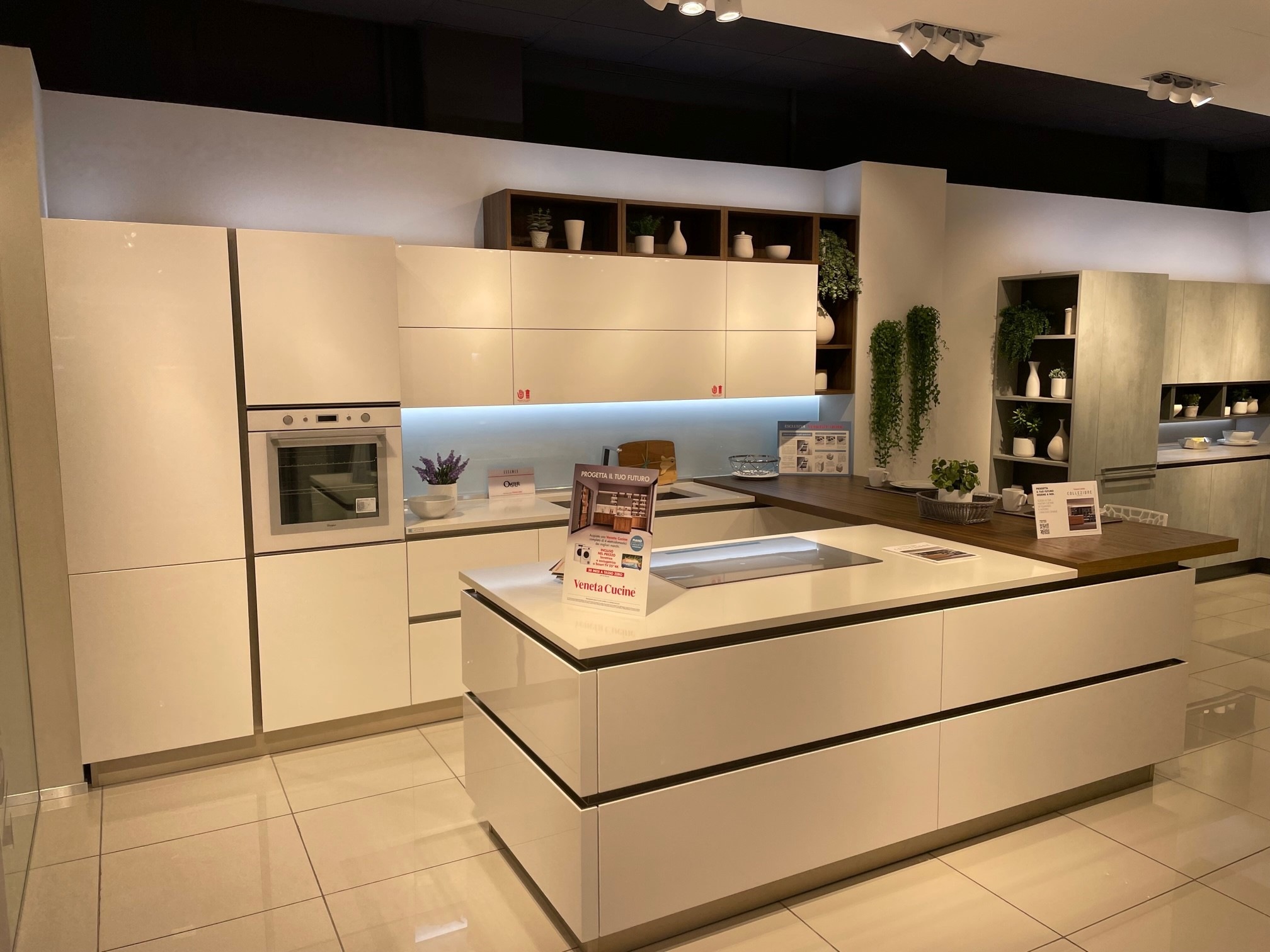 OYSTER LUCIDA - Image