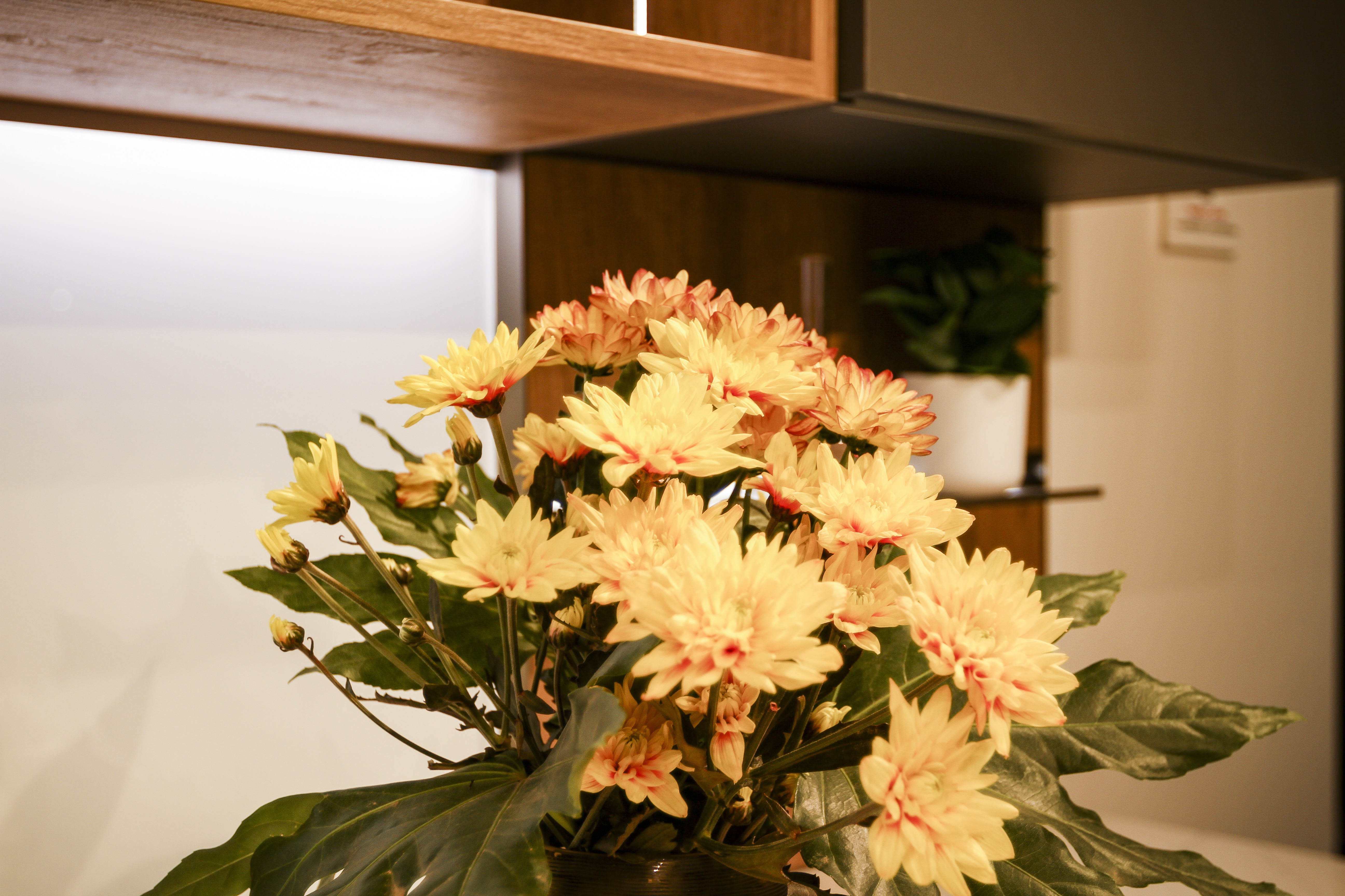 Veneta Cucine Oyster - Image