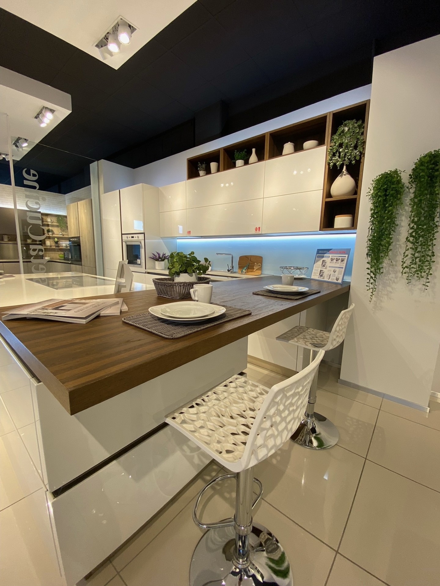 OYSTER LUCIDA - Image