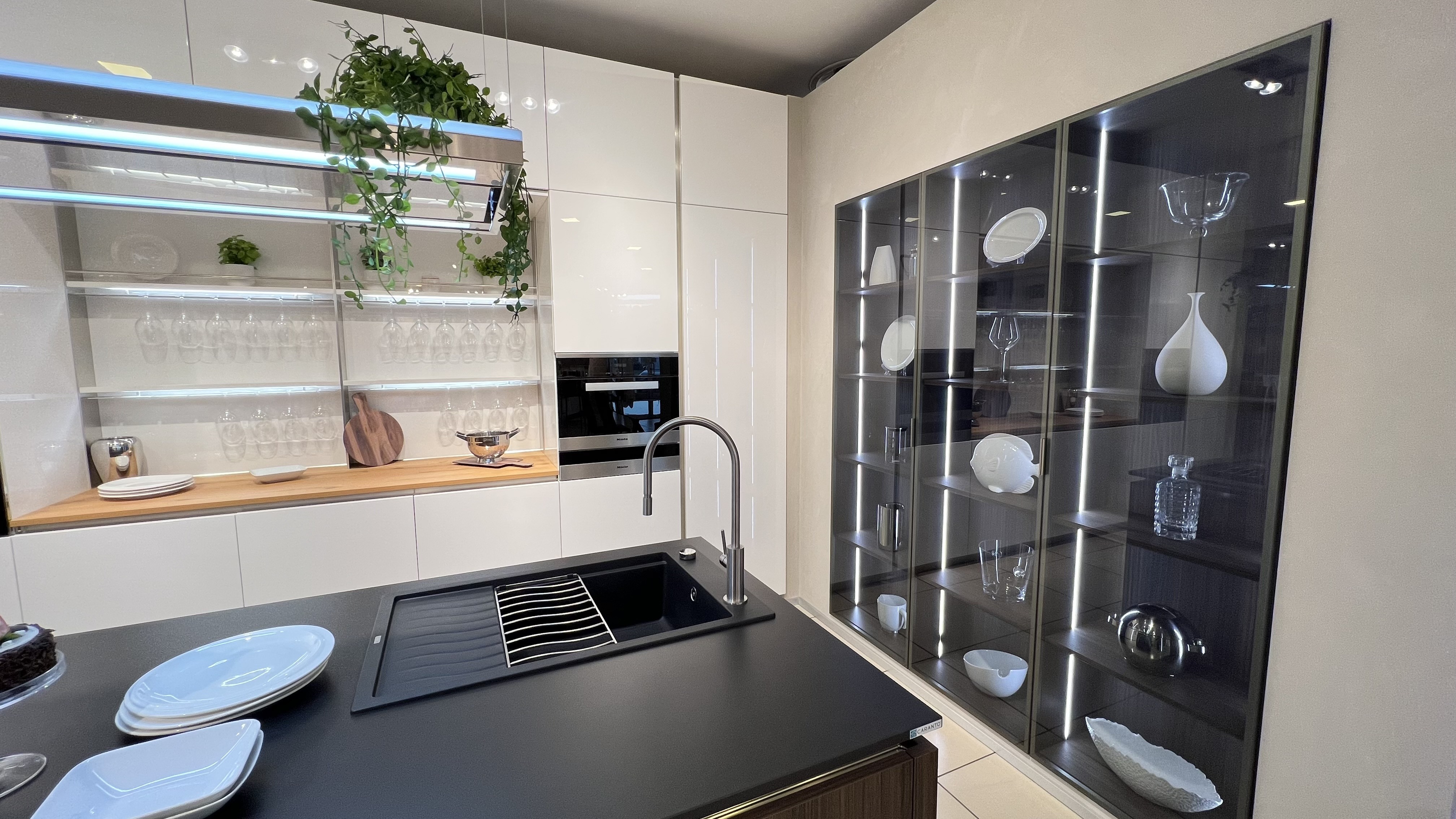 Oyster laccata - Image