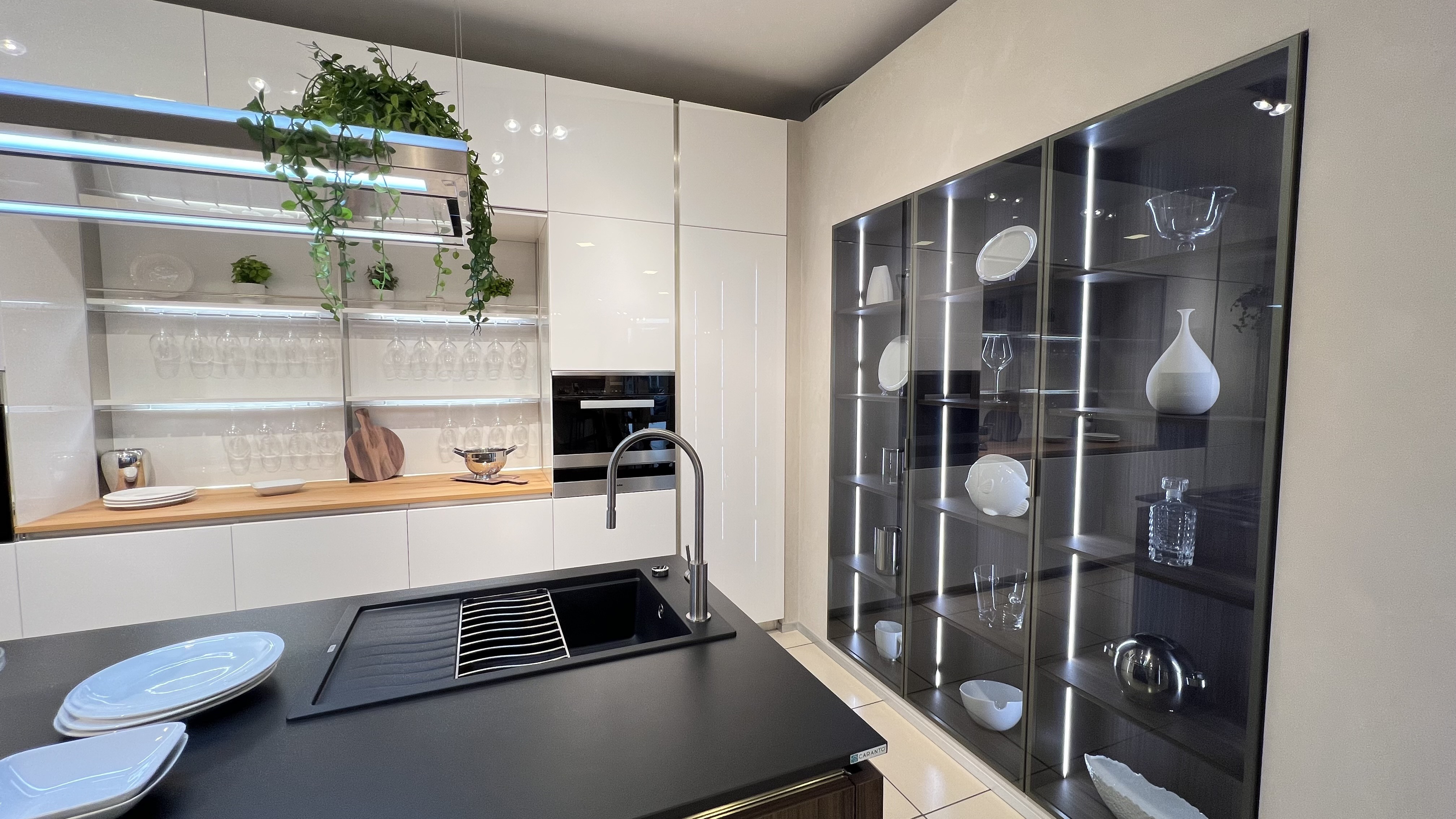 Oyster laccata - Image