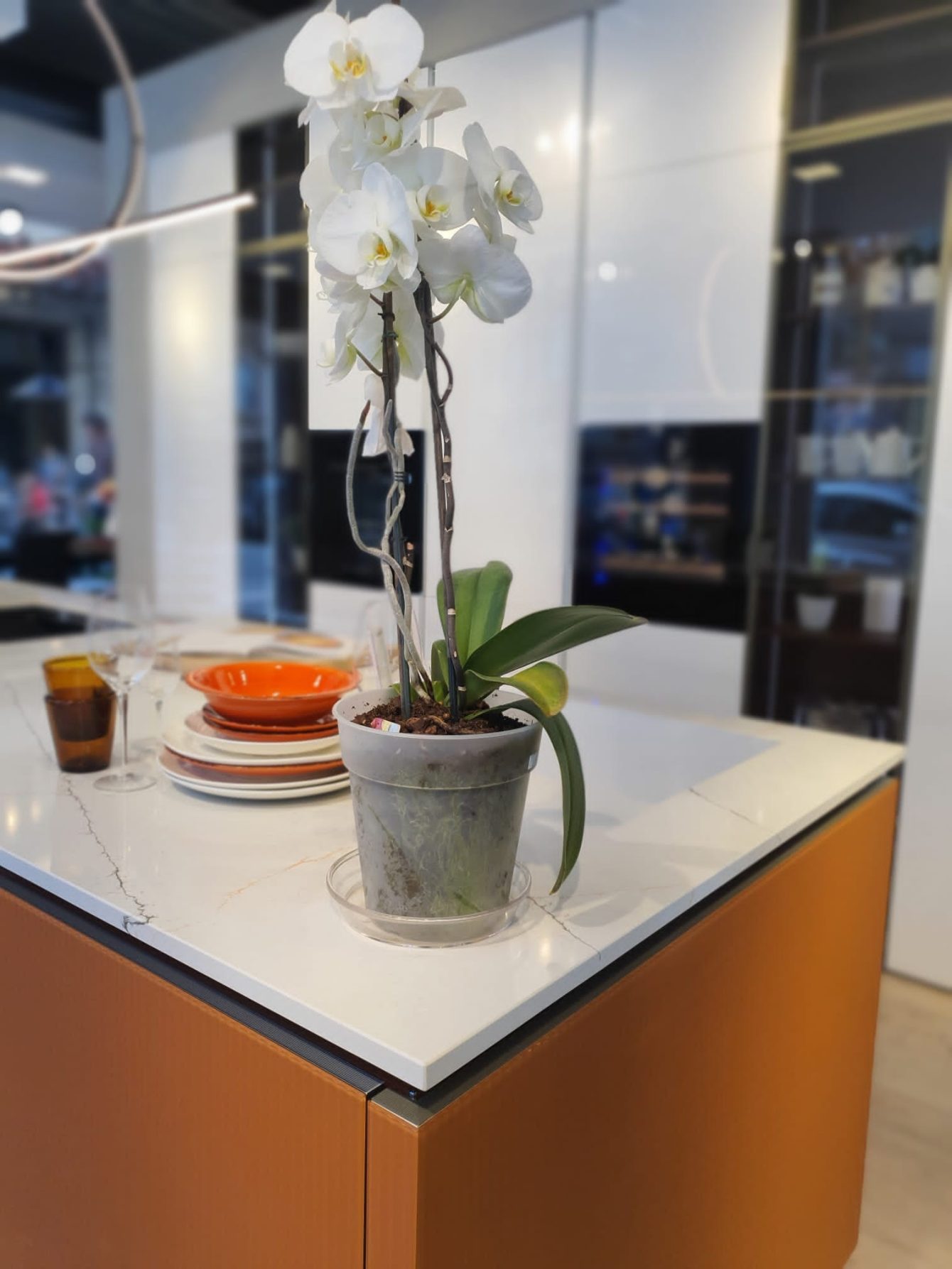 Lounge - Veneta Cucine - Image