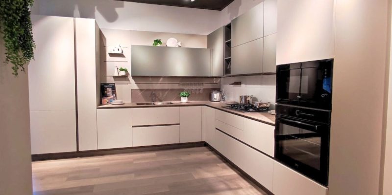 Oyster decorativo - Image