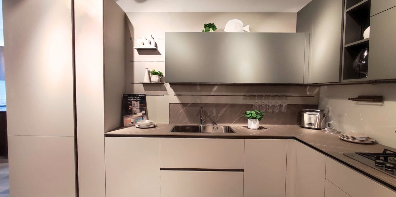 Oyster decorativo - Image