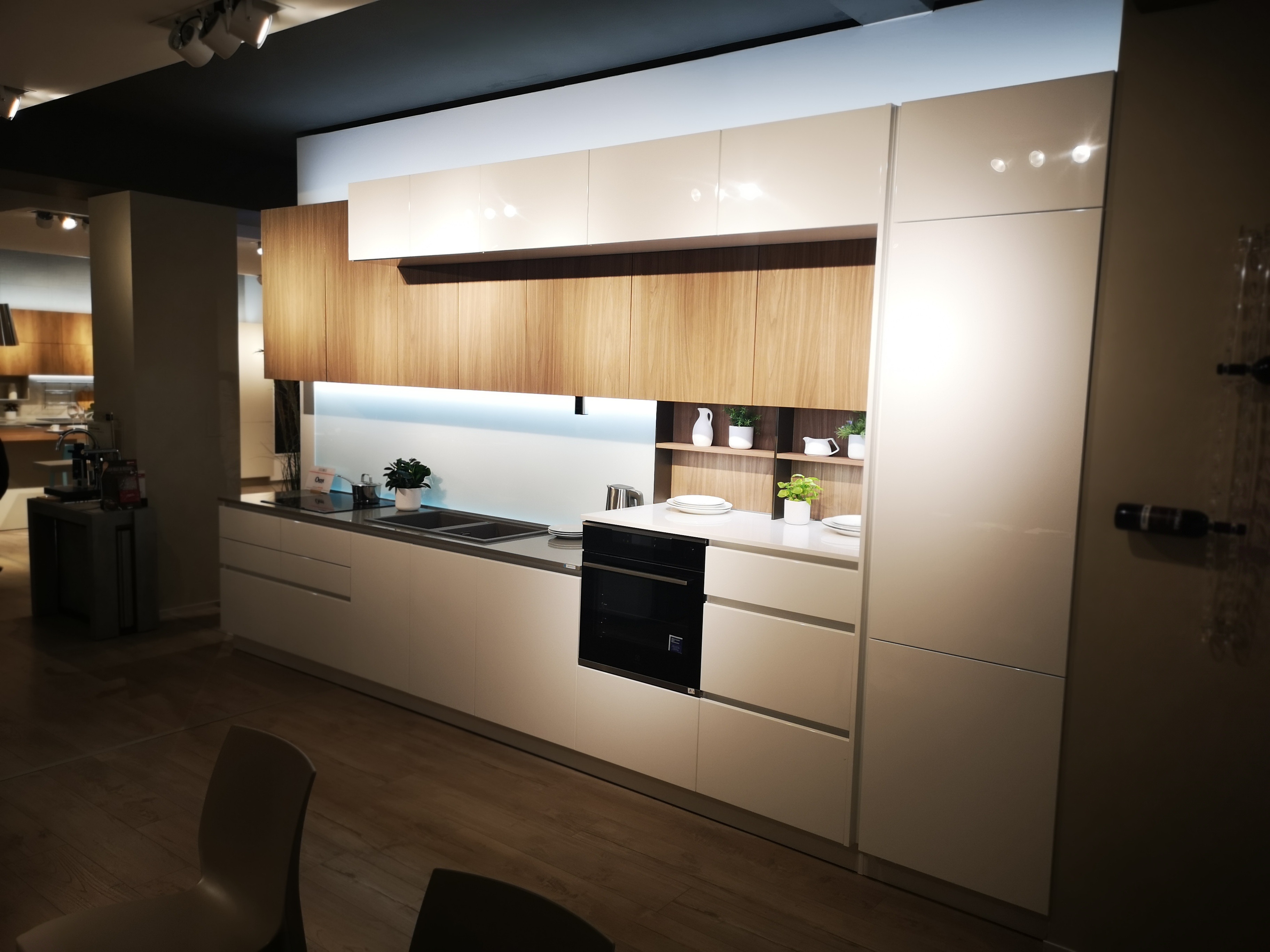 OYSTER LUCIDA - Image