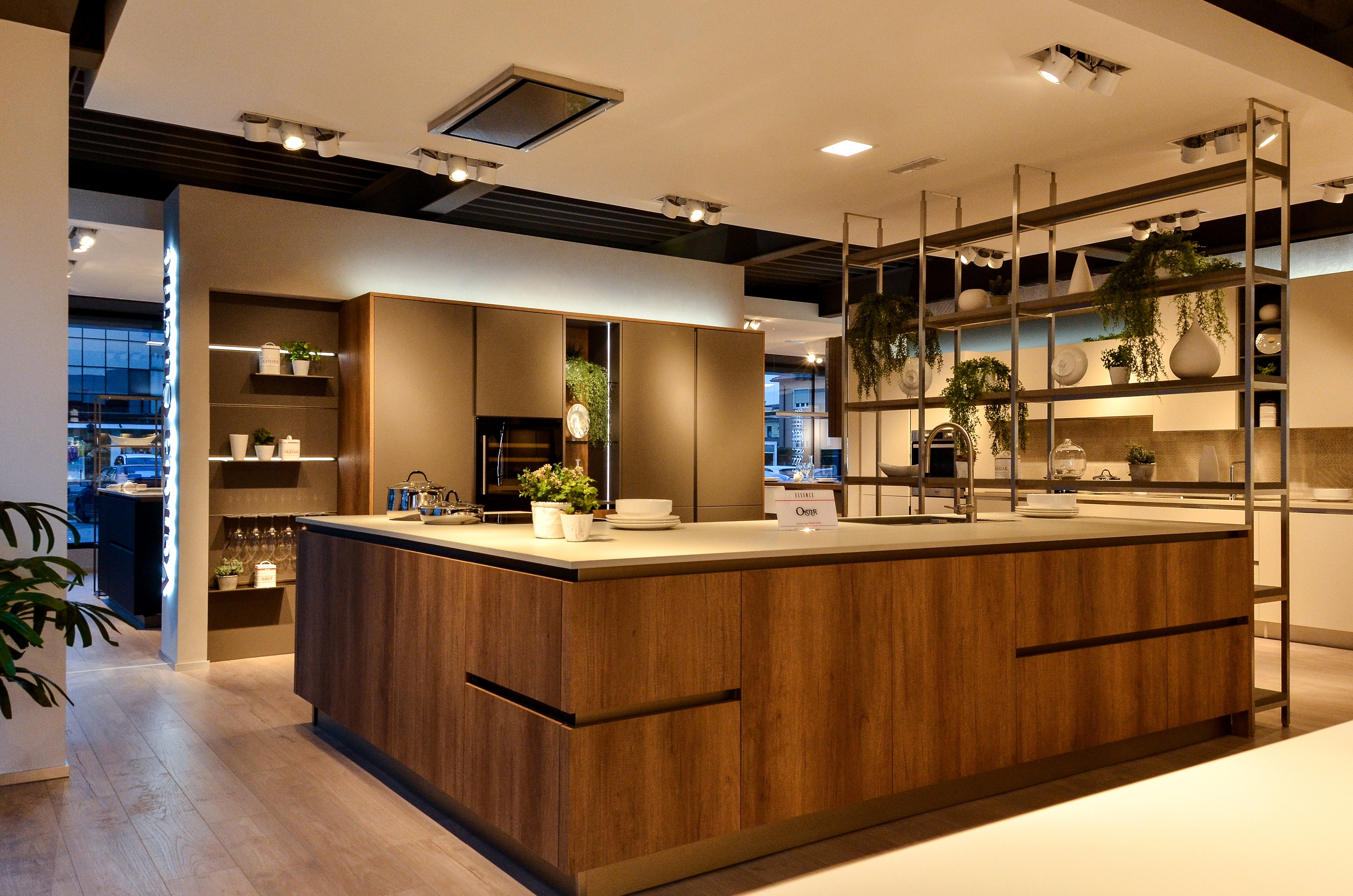 Oyster laccato - decorativo - Image