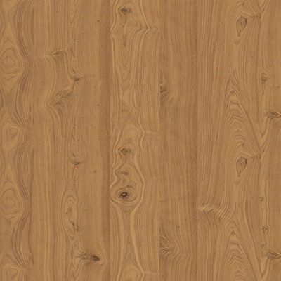 Tinto Noce Nodoso  (446)