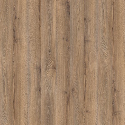 Tag Rovere Terra (693)