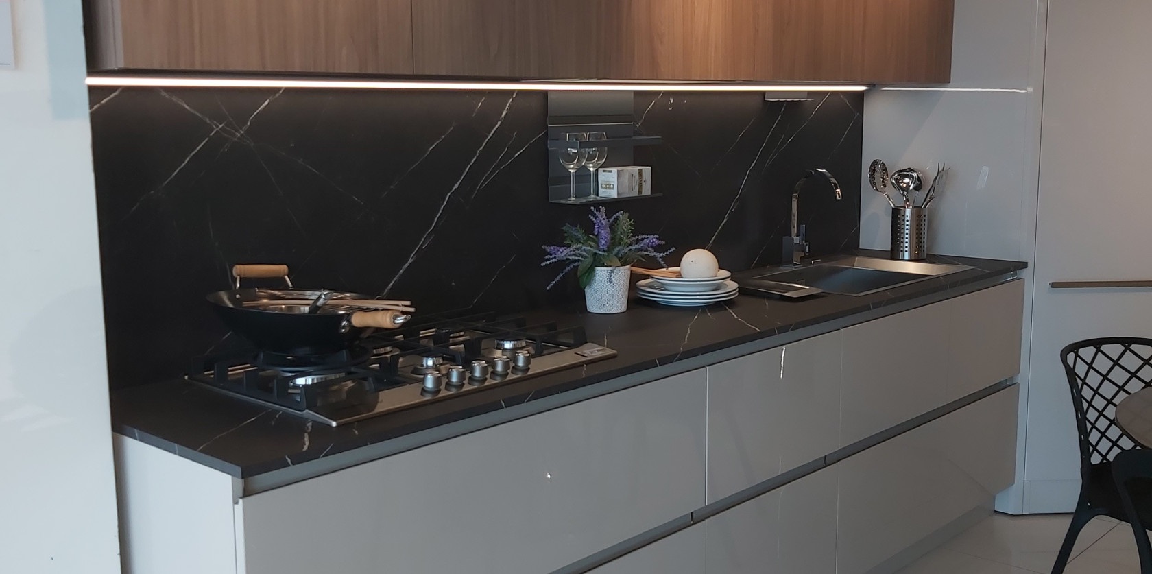 Oyster Pro laccata lucida - Image