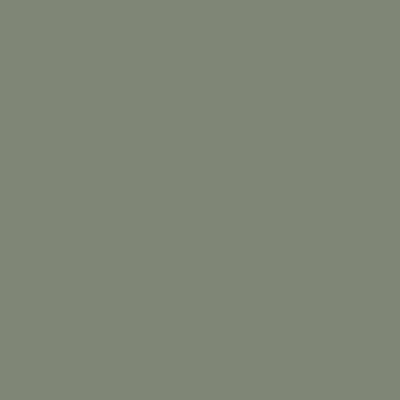 Verde Oliva  (EF)