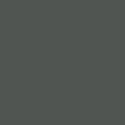 Antracite  (P2)