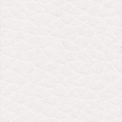 Ecopelle Bianca (01)