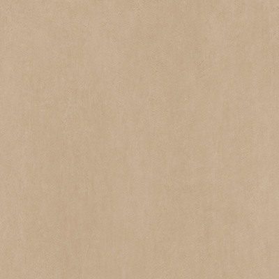 Palette Natural Dune (C90)