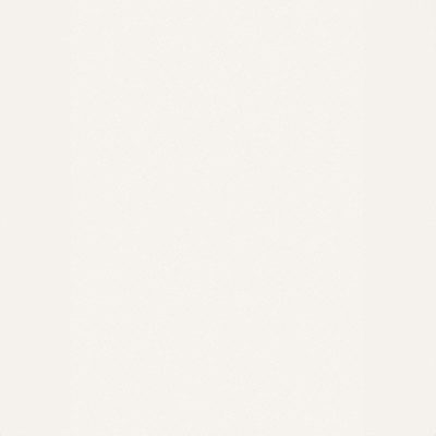 White Land Opaco (12mm) (C79)