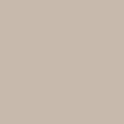 Beige Ticinese (874)